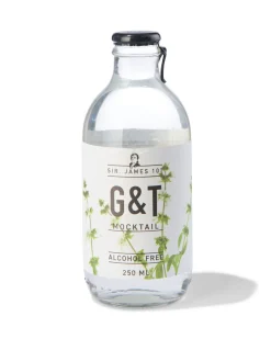 alcoholvrije G&T 250ml