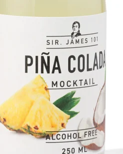alcoholvrije pina colada 250ml