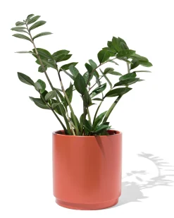 bloempot ⌀19x19cm oranje
