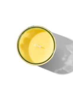 citronella geurkaars in glas met Ø6.5x8