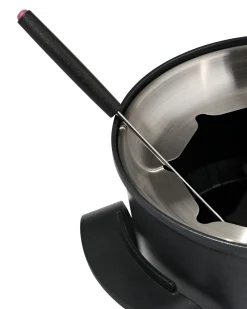 fondueset rvs