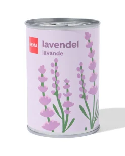 groeiblik lavendel