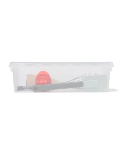 opbergbox 3.5L Madrid transparant 38x14x11