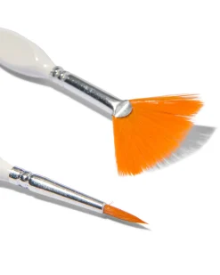 schilderpenselen met diverse punt - 5 stuks