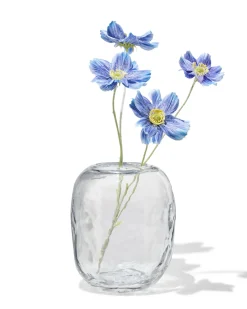 vaas ⌀14x18cm glas